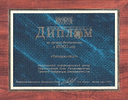 Диплом за лучшие достижения в 2001 г